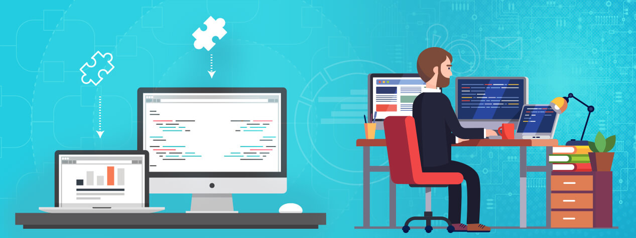 Software Integration